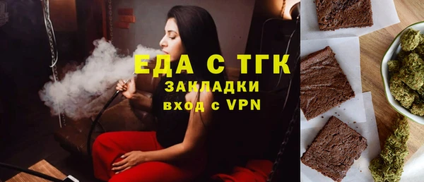 хмурый Аркадак