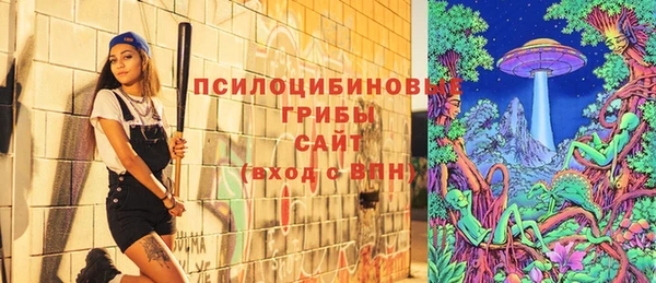 дмт Армянск