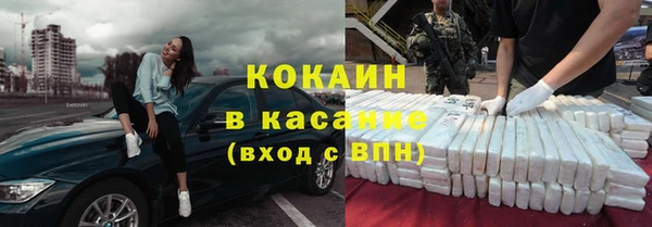 хмурый Аркадак