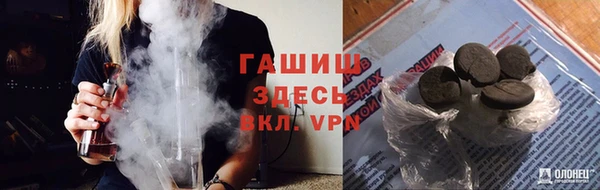 хмурый Аркадак