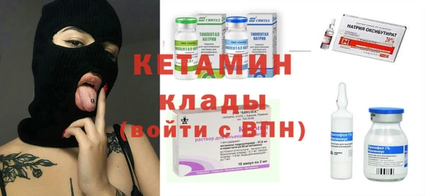 хмурый Аркадак