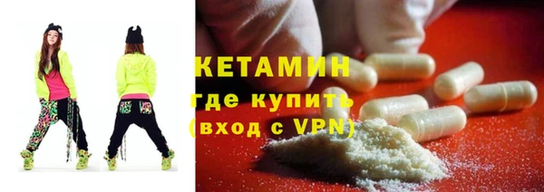 хмурый Аркадак