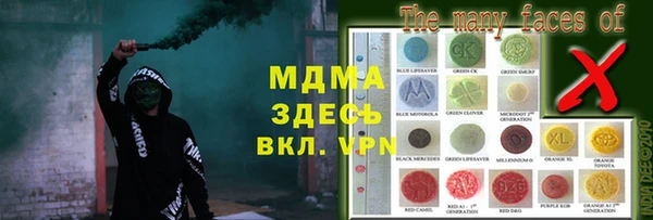 хмурый Аркадак