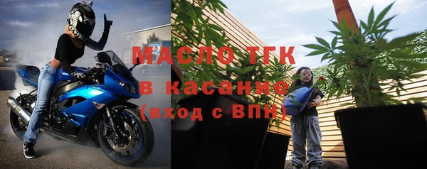 хмурый Аркадак