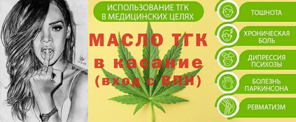хмурый Аркадак
