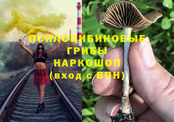 дмт Армянск