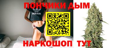 эйфоретик Аргун