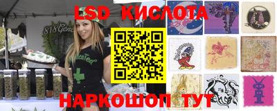 дживик Гай