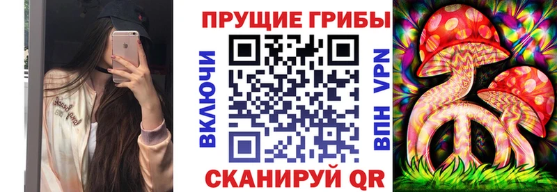 Галлюциногенные грибы Psilocybe  где купить наркоту  МЕГА рабочий сайт  Дедовск 