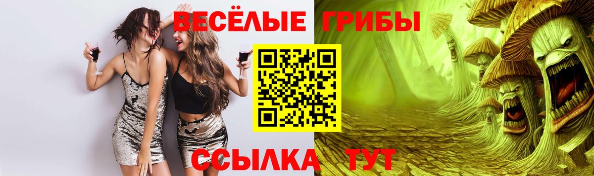 Галлюциногенные грибы Cubensis Дедовск